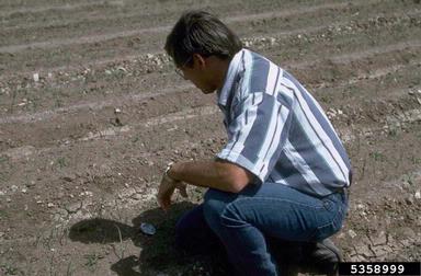 soil & water,    - 5358999