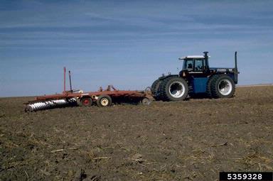 cultivation,    - 5359328