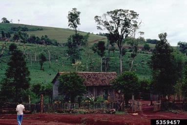 farm,    - 5359457