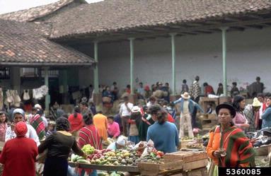 marketplace,    - 5360085
