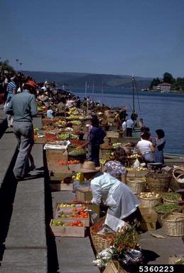 marketplace,    - 5360223