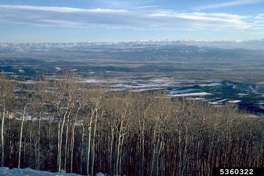 mountains,    (Mountains: Miscellaneous Mountains) - 5360322
