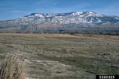mountains,    (Mountains: Miscellaneous Mountains) - 5360325