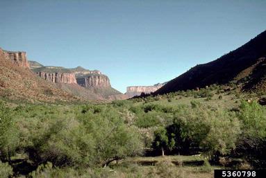 mountains,    (Mountains: Miscellaneous Mountains) - 5360798