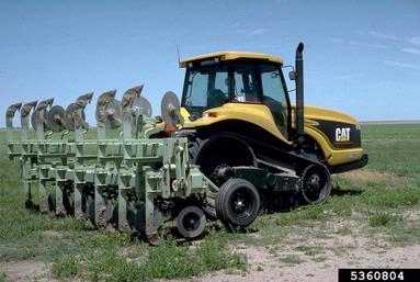 cultivation,    - 5360804