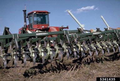 cultivation,    - 5361635