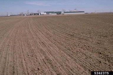 soil & water,    - 5362375