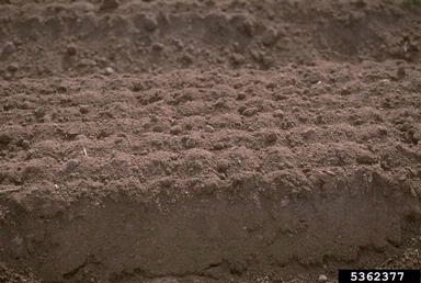 soil & water,    - 5362377