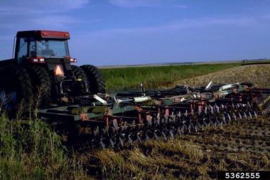 cultivation,    - 5362555