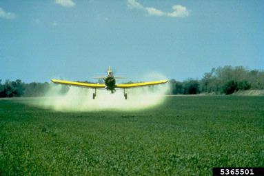 pesticides,    - 5365501