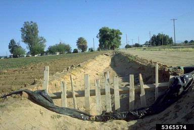 irrigation,    - 5365574