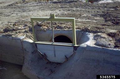 irrigation,    - 5365575