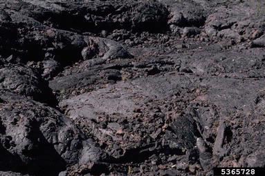 geologic feature,    - 5365728