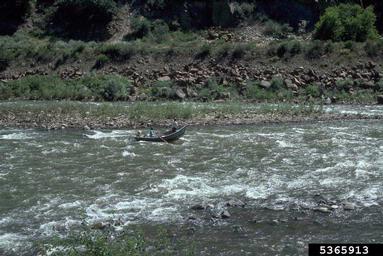 rivers and streams,    (Freshwater biomes: Miscellaneous Rivers and Streams) - 5365913