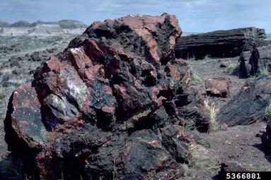 geologic feature,    - 5366881