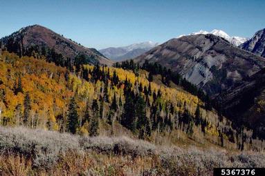 mountains,    (Mountains: Miscellaneous Mountains) - 5367376
