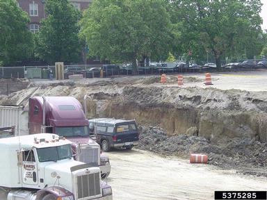 construction,    - 5375285