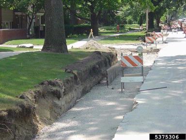 construction,    - 5375306