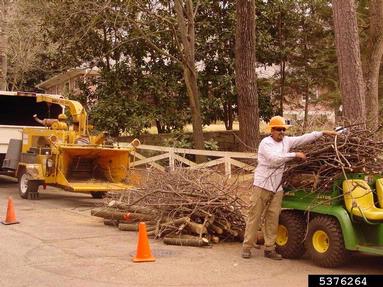 chipping,    - 5376264