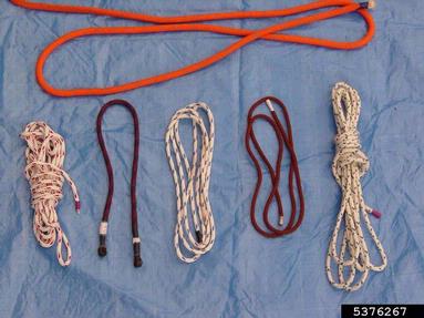 climbing line,    - 5376267