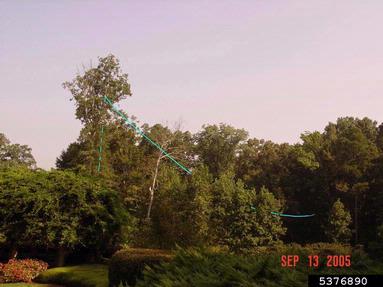 speed line,    - 5376890
