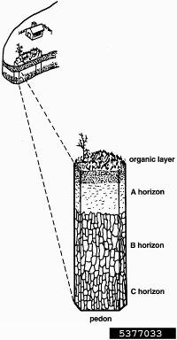 soil horizons,    - 5377033