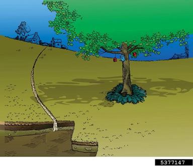 drainage,    - 5377147