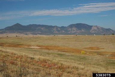 Rocky Mountains,    (Mountains: Rocky Mountains) - 5383075