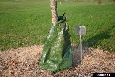 irrigation,    - 5388241