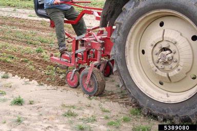 cultivation,    - 5389080