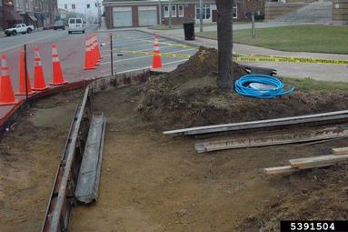 construction,    - 5391504