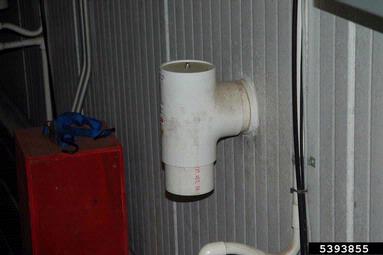 controlled-atmosphere storage,    - 5393855
