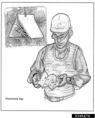 plant diagnostics,    - 5395476