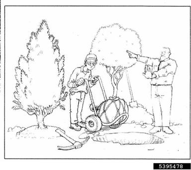 planting,    - 5395478