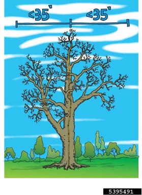lightning protection,    - 5395491