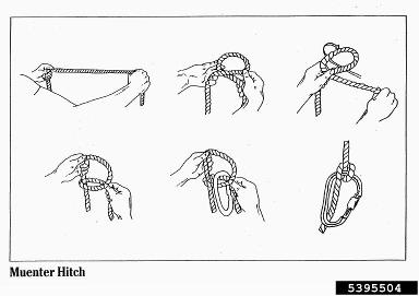 friction hitch,    - 5395504