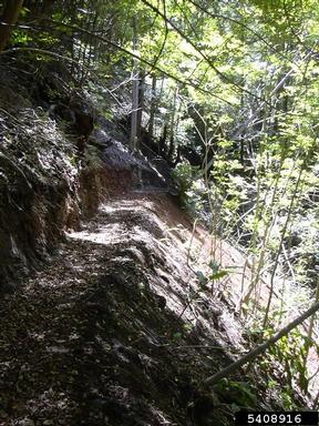 unpaved roads and trails,    - 5408916