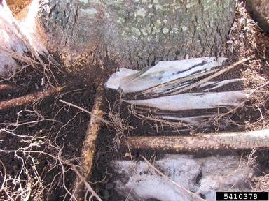 geotextile fabric,    - 5410378