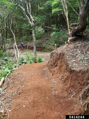 unpaved roads and trails,    - 5414244