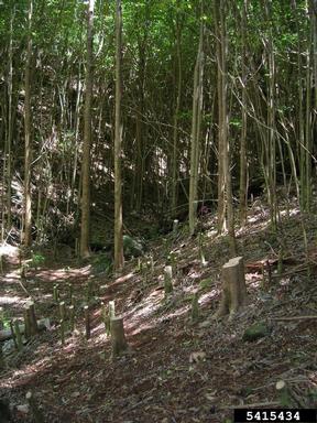 unpaved roads and trails,    - 5415434