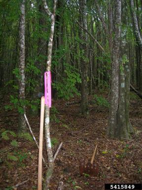 unpaved roads and trails,    - 5415849