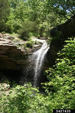 waterfalls,    (Freshwater biomes: Miscellaneous Waterfalls) - 5427435