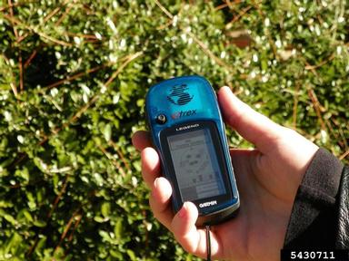 GPS,    - 5430711