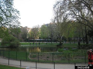 urban ecosystem,    - 5431658