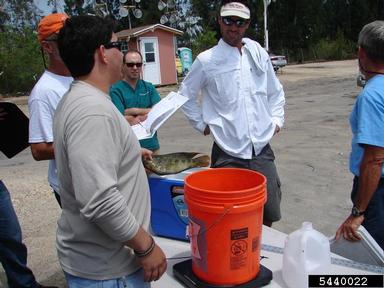 2011 Everglades CISMA Non-native Fish Roundup,    - 5440022