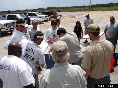 2011 Everglades CISMA Non-native Fish Roundup,    - 5440033