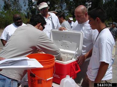 2011 Everglades CISMA Non-native Fish Roundup,    - 5440036