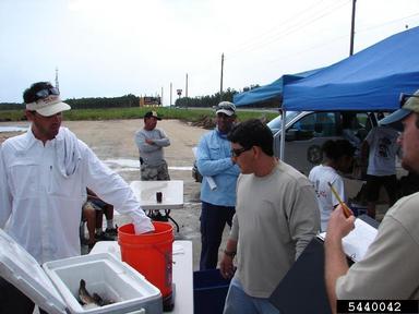 2011 Everglades CISMA Non-native Fish Roundup,    - 5440042