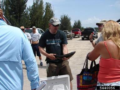2011 Everglades CISMA Non-native Fish Roundup,    - 5440056