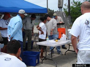 2011 Everglades CISMA Non-native Fish Roundup,    - 5440076